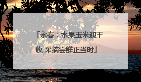 永春：水果玉米迎丰收 采摘尝鲜正当时