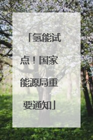 氢能试点！国家能源局重要通知