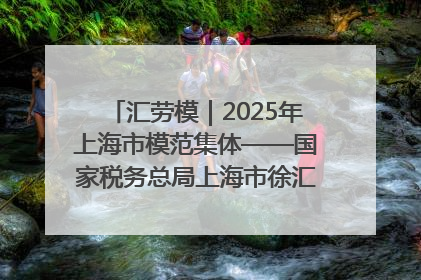 汇劳模｜2025年上海市模范集体——国家税务总局上海市徐汇区税务局第一税务所
