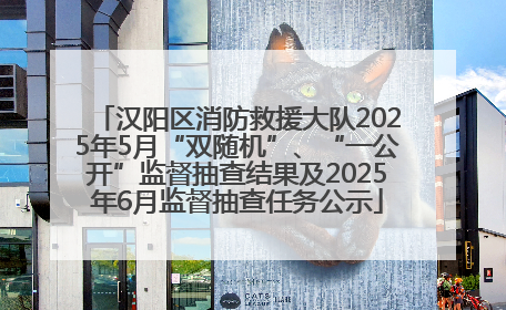 汉阳区消防救援大队2025年5月“双随机”、“一公开”监督抽查结果及2025年6月监督抽查任务公示