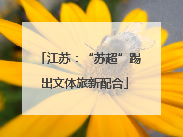 江苏：“苏超”踢出文体旅新配合