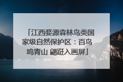 江西婺源森林鸟类国家级自然保护区：百鸟鸣青山 翩跹入画屏