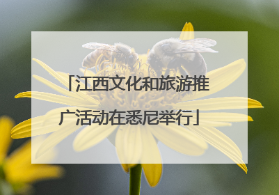 江西文化和旅游推广活动在悉尼举行
