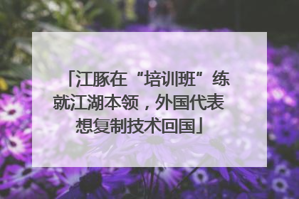 江豚在“培训班”练就江湖本领，外国代表想复制技术回国