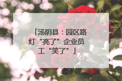 汤阴县：园区路灯“亮了”企业员工“笑了”