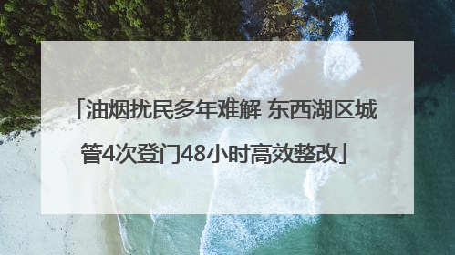 油烟扰民多年难解 东西湖区城管4次登门48小时高效整改
