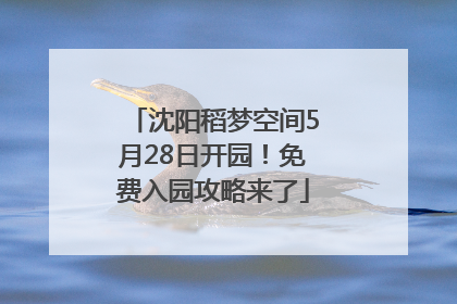 沈阳稻梦空间5月28日开园！免费入园攻略来了