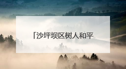 沙坪坝区树人和平小学校小记者走进日本驻渝领事馆