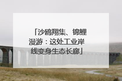 沙鸥翔集、锦鲤漫游：这处工业岸线变身生态长廊