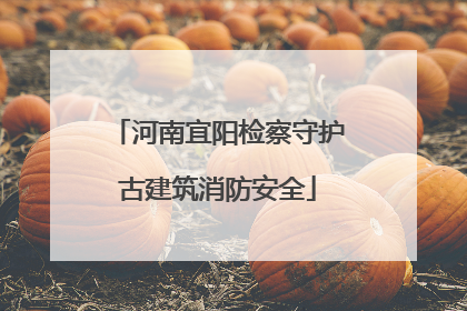 河南宜阳检察守护古建筑消防安全