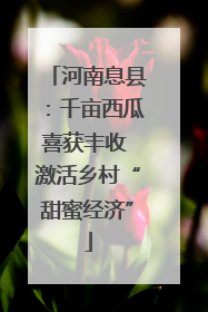 河南息县：千亩西瓜喜获丰收 激活乡村“甜蜜经济”