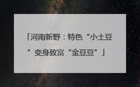 河南新野：特色“小土豆”变身致富“金豆豆”