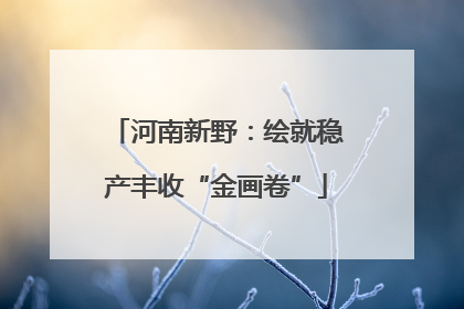 河南新野：绘就稳产丰收“金画卷”