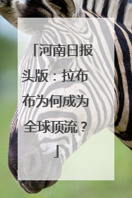 河南日报头版：拉布布为何成为全球顶流？
