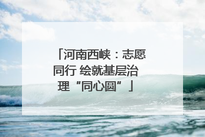 河南西峡：志愿同行 绘就基层治理“同心圆”
