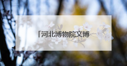 河北博物院文博体验“火出圈” 端午假期接待观众超4.6万人次