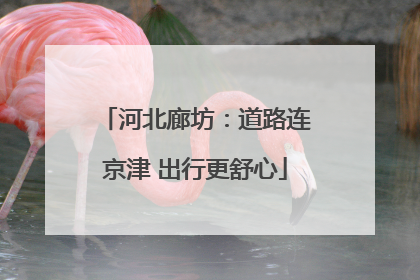 河北廊坊：道路连京津 出行更舒心