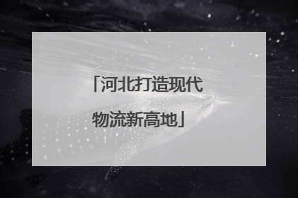 河北打造现代物流新高地