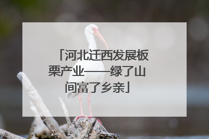 河北迁西发展板栗产业——绿了山间富了乡亲