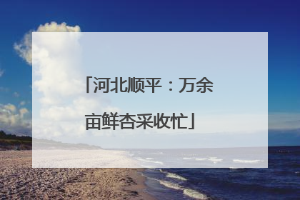 河北顺平：万余亩鲜杏采收忙
