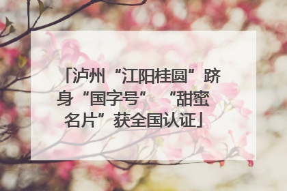 泸州“江阳桂圆”跻身“国字号” “甜蜜名片”获全国认证