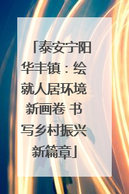泰安宁阳华丰镇：绘就人居环境新画卷 书写乡村振兴新篇章