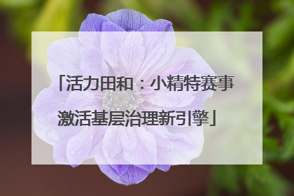 活力田和：小精特赛事激活基层治理新引擎