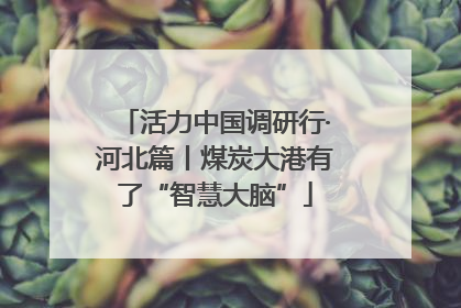 活力中国调研行·河北篇丨煤炭大港有了“智慧大脑”