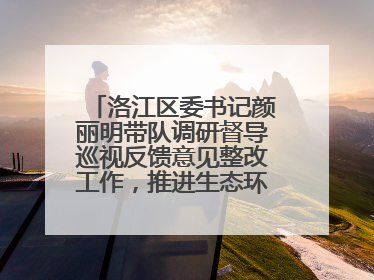 洛江区委书记颜丽明带队调研督导巡视反馈意见整改工作，推进生态环境保护建设
