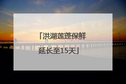洪湖莲蓬保鲜延长至15天