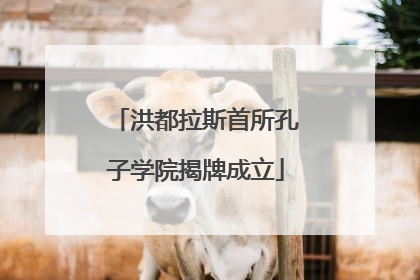 洪都拉斯首所孔子学院揭牌成立