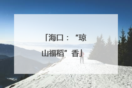 海口：“琼山福稻”香
