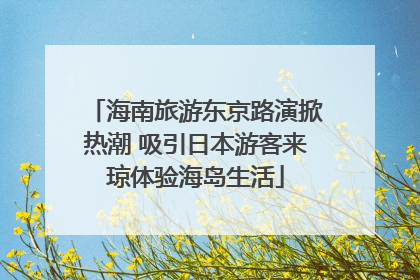 海南旅游东京路演掀热潮 吸引日本游客来琼体验海岛生活