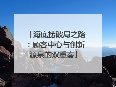 海底捞破局之路：顾客中心与创新源泉的双重奏