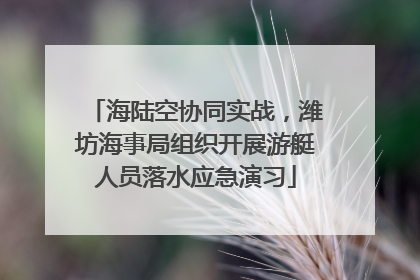 海陆空协同实战，潍坊海事局组织开展游艇人员落水应急演习