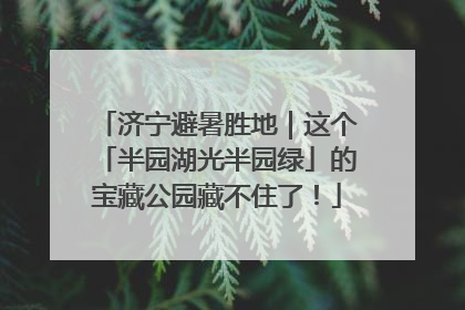 济宁避暑胜地｜这个「半园湖光半园绿」的宝藏公园藏不住了！