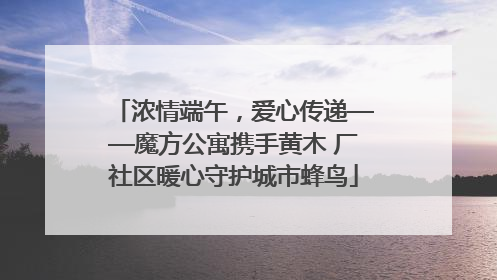 浓情端午，爱心传递——魔方公寓携手黄木 厂社区暖心守护城市蜂鸟