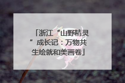 浙江“山野精灵”成长记：万物共生绘就和美画卷
