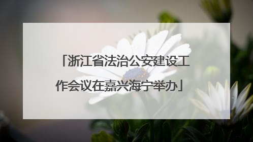 浙江省法治公安建设工作会议在嘉兴海宁举办