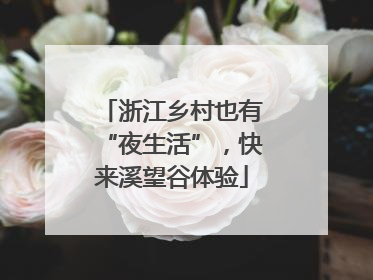 浙江乡村也有“夜生活”，快来溪望谷体验