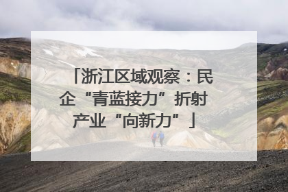 浙江区域观察：民企“青蓝接力”折射产业“向新力”