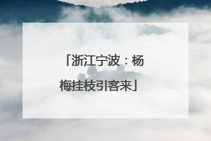 浙江宁波：杨梅挂枝引客来