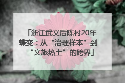 浙江武义后陈村20年蝶变：从“治理样本”到“文旅热土”的跨界