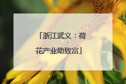 浙江武义：荷花产业助致富
