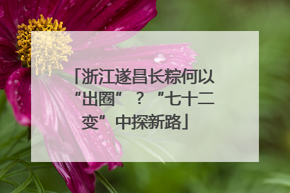 浙江遂昌长粽何以“出圈”？“七十二变”中探新路