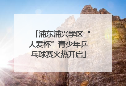 浦东浦兴学区“大爱杯”青少年乒乓球赛火热开启