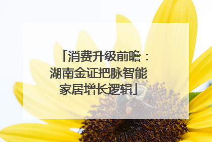 消费升级前瞻：湖南金证把脉智能家居增长逻辑