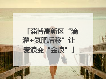 淄博高新区“滴灌+氮肥后移”让麦浪变“金浪”