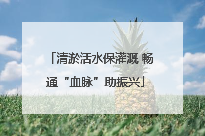 清淤活水保灌溉 畅通“血脉”助振兴