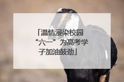 温情浸染校园 “六一”为高考学子加油鼓劲